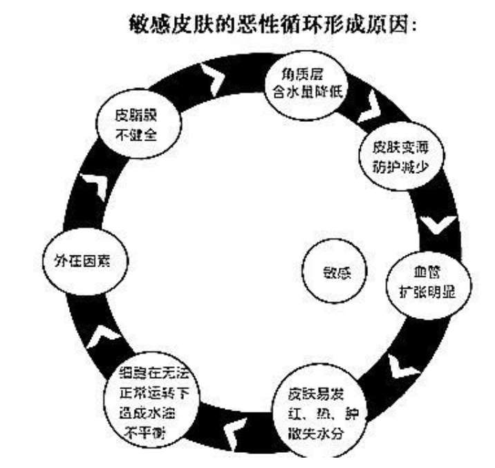 為什么你的臉容易過敏？